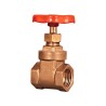 COMPUERTA ECONOMICA ROSCAR 1 1/4"