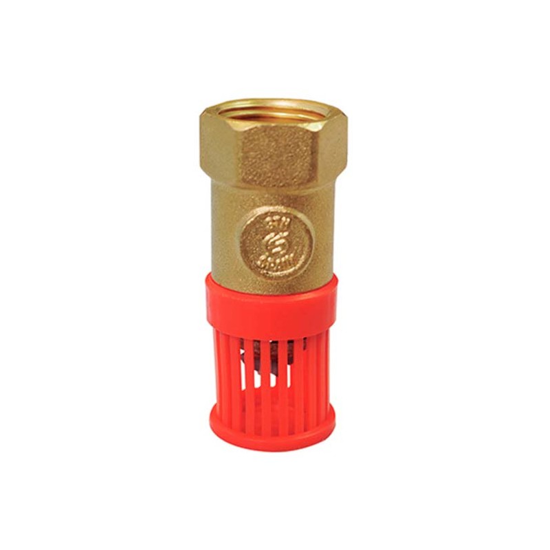 VALVULA DE PIE O PICHANCHA 2"